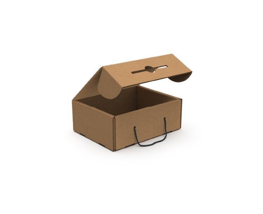 E-Commerce Carry Box Bundle