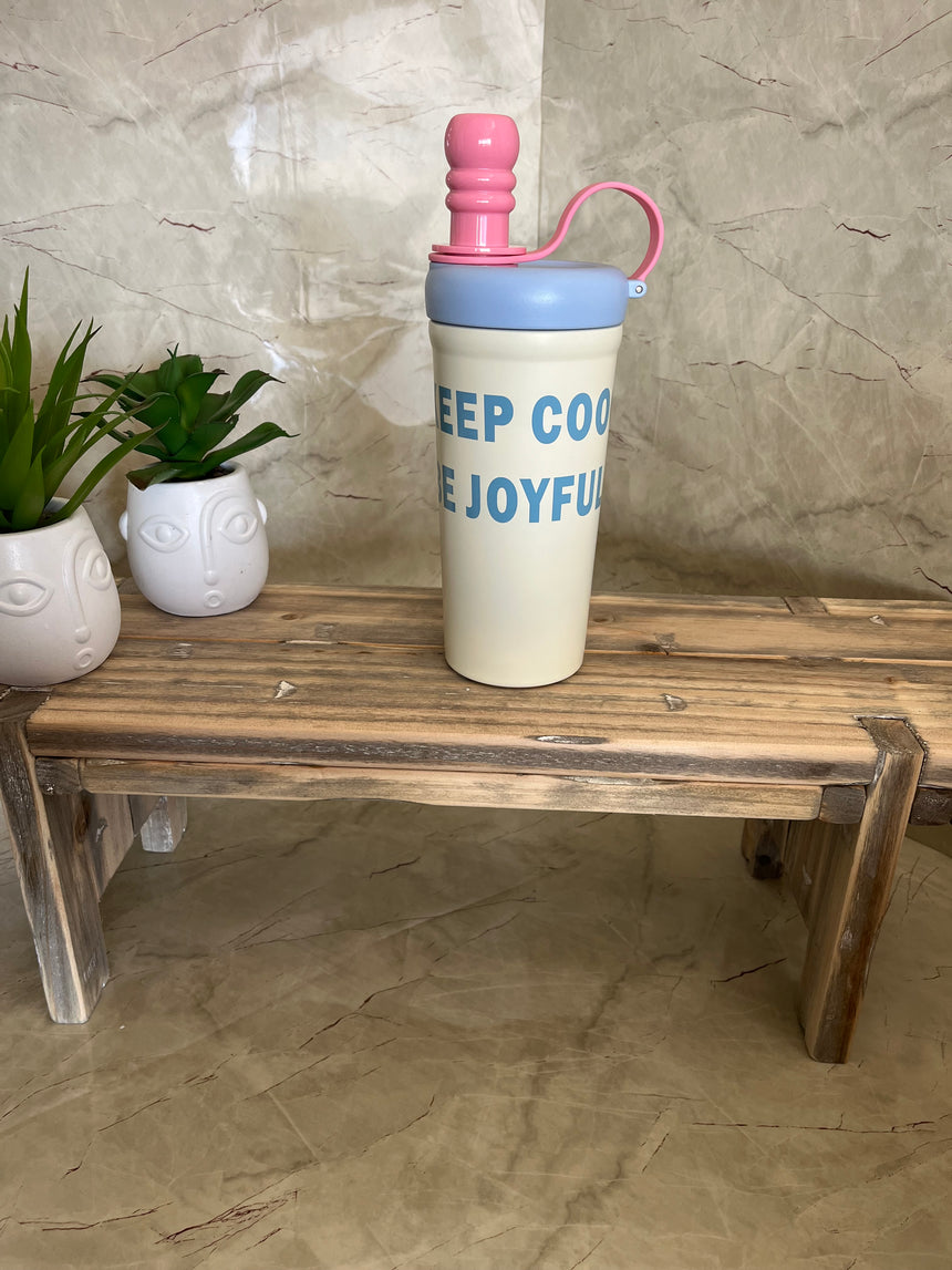 Insulated Straw Bottle