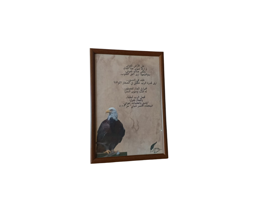 Eagle Bible Verse A4 Frame