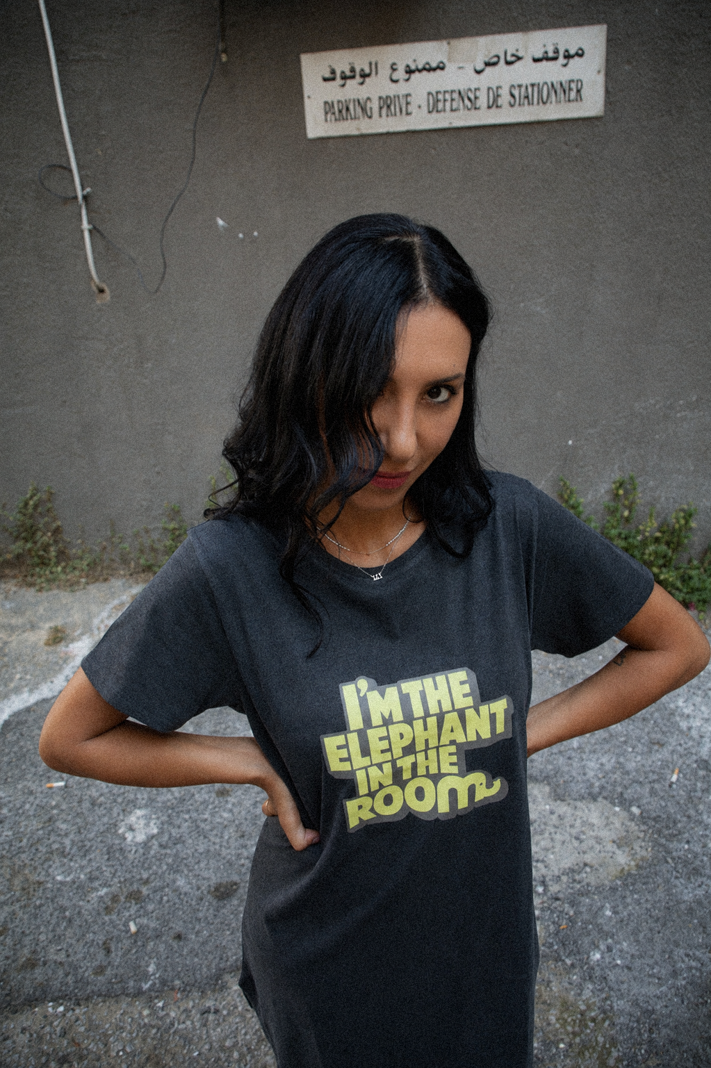 I'm the Elephant in the Room T-shirt Dress