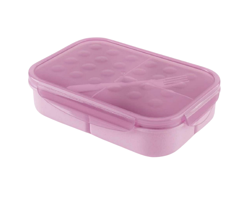 Lunch Box in Purple
