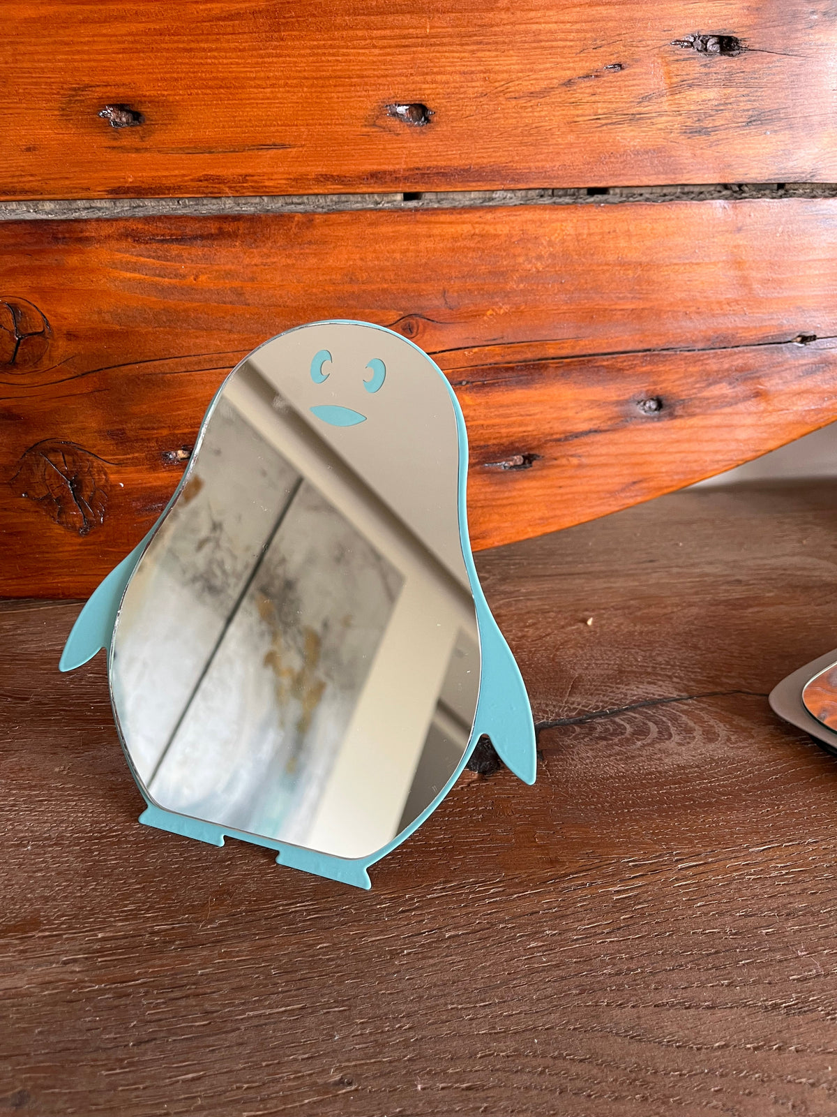 Kids Mirror