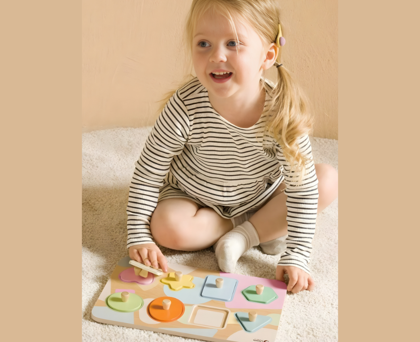 Classic World Wooden Geometry Puzzle