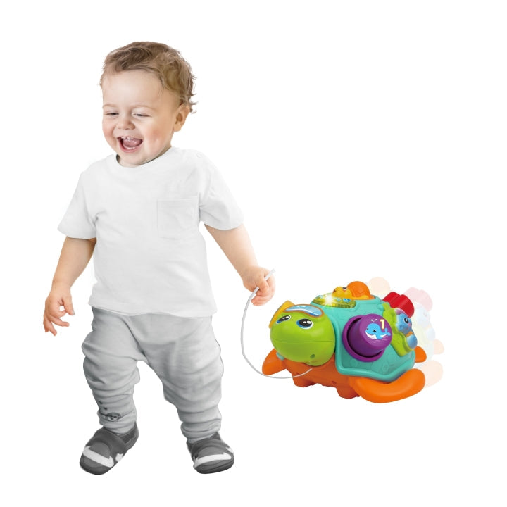 Pull Along Sort 'N Learn Turtle Toddler's Toys Pull Along Sort 'N Learn Turtle Pull Along Sort 'N Learn Turtle WinFun