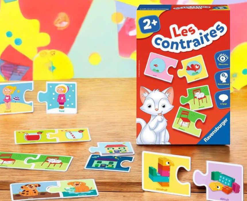 Les Contraires Puzzle Cards