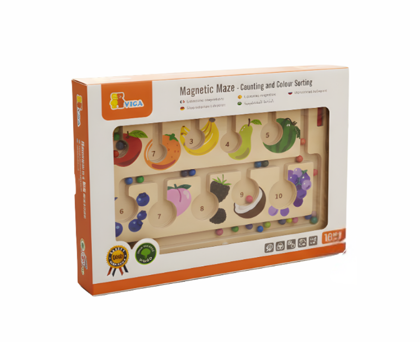 VIGA Magnetic Maze Counting and Coloring