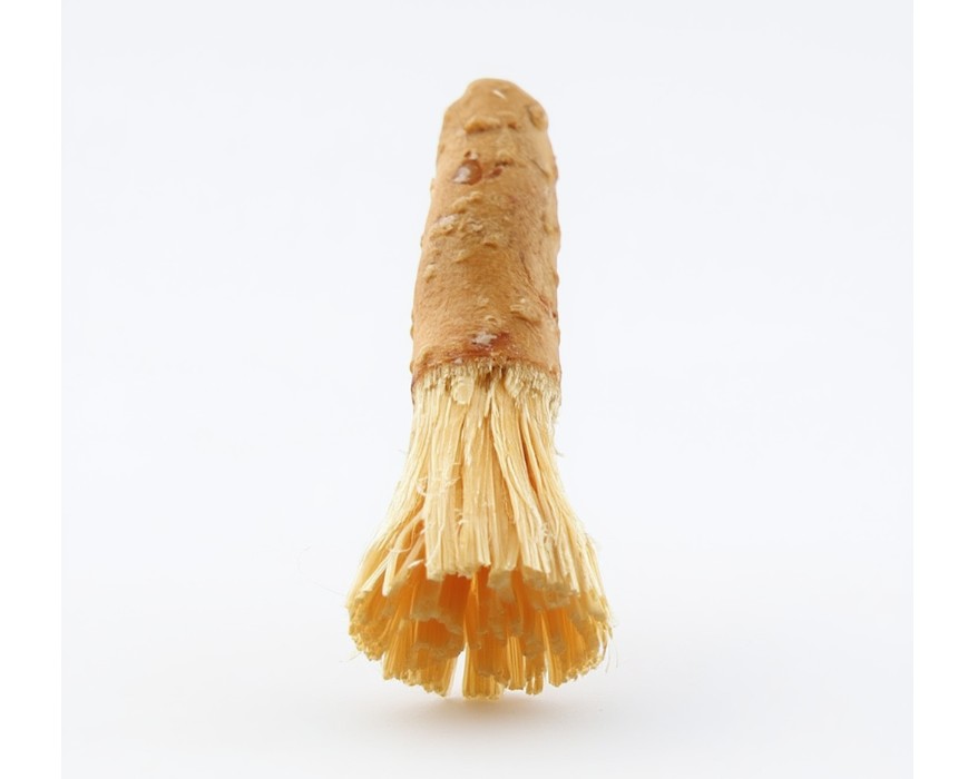 Natural Miswak Toothbrush - Pack of 2