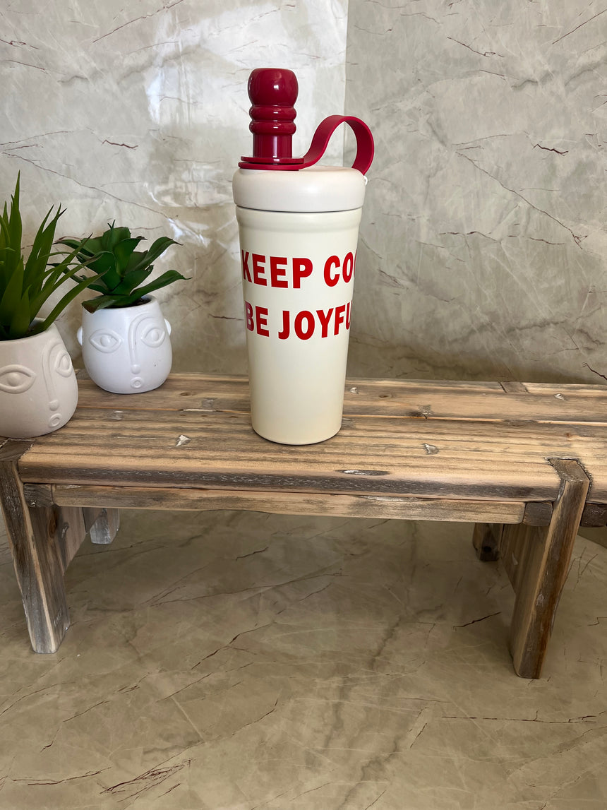 Insulated Straw Bottle