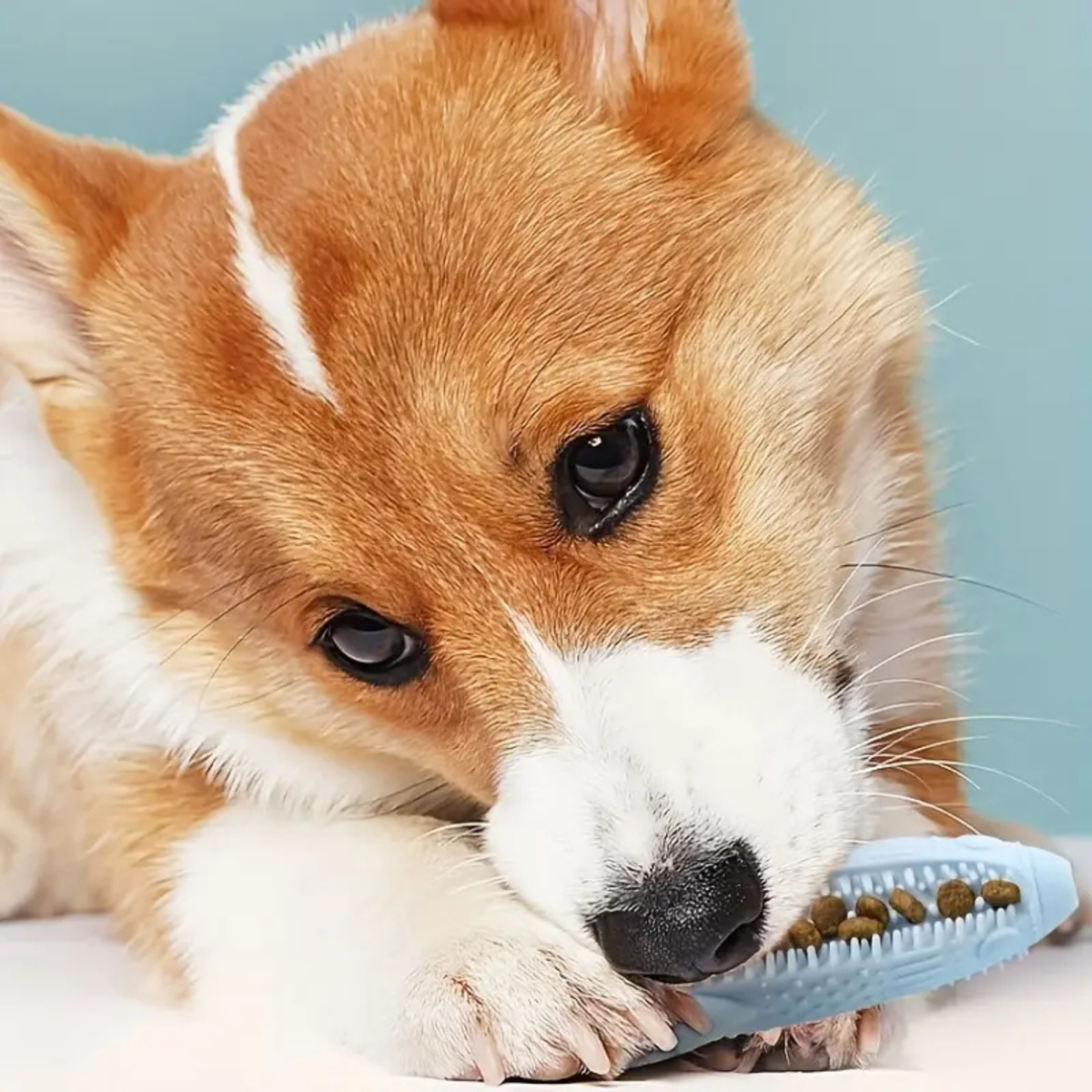 Interactive Silicone Dog Toothbrush Chew Toy