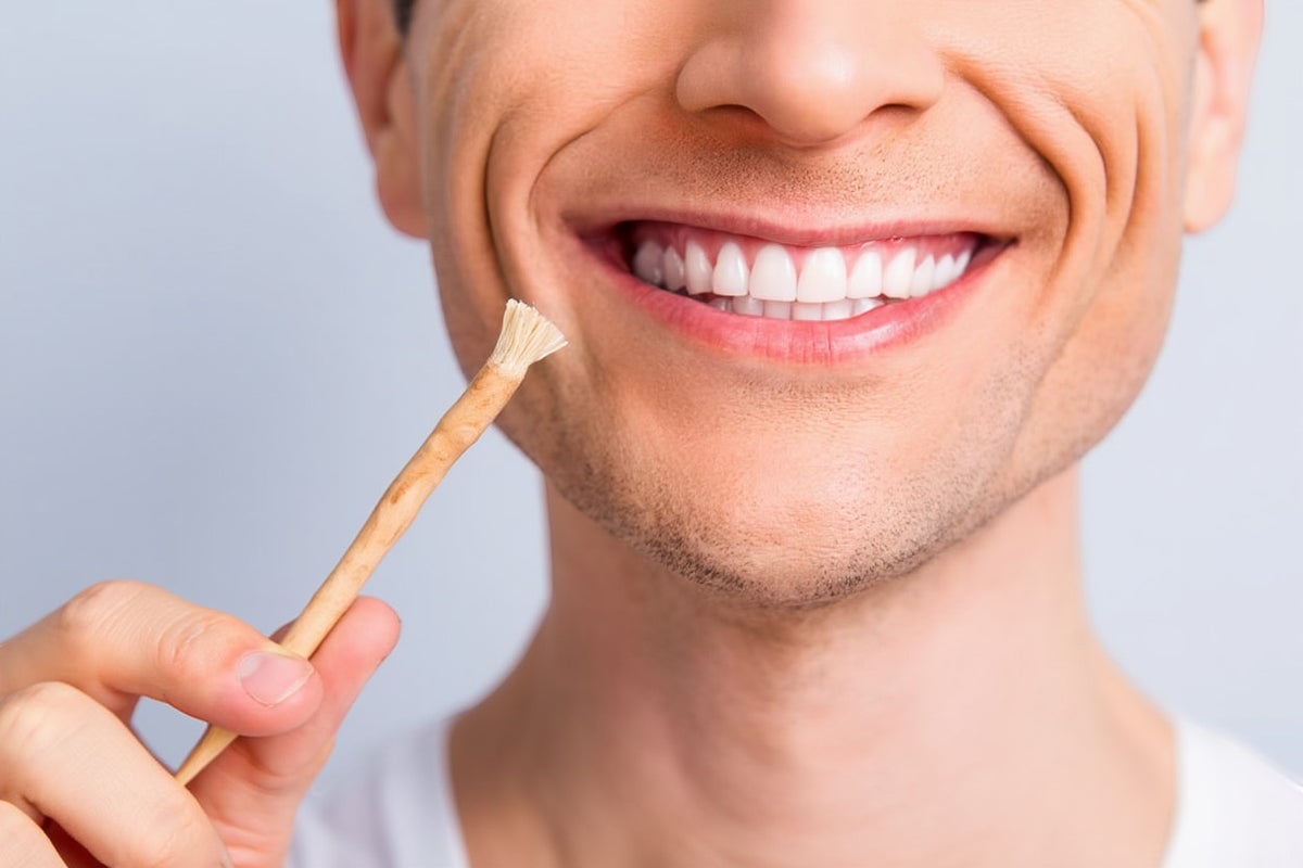 Natural Miswak Toothbrush - Pack of 2