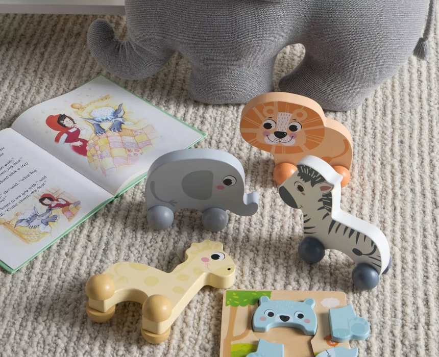 Lion Pull Toy