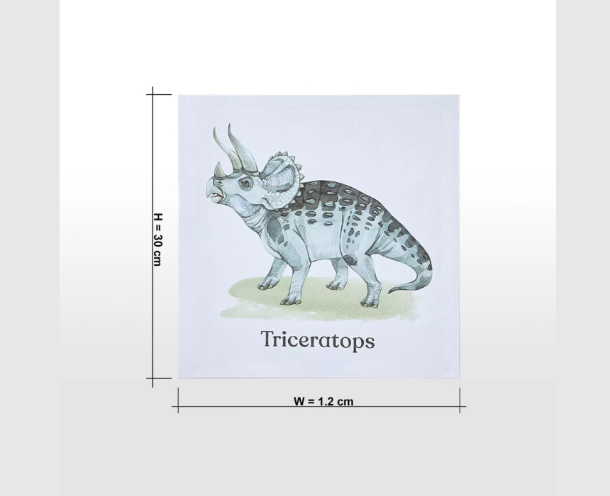 Rex Canvas Wall Art Set