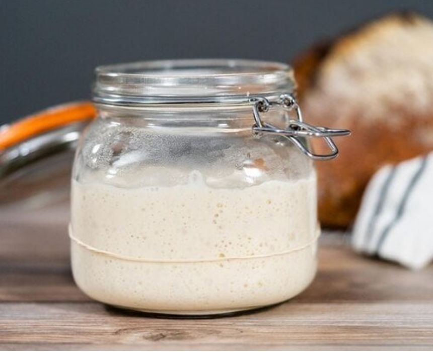 Dehydrated Sourdough Starter