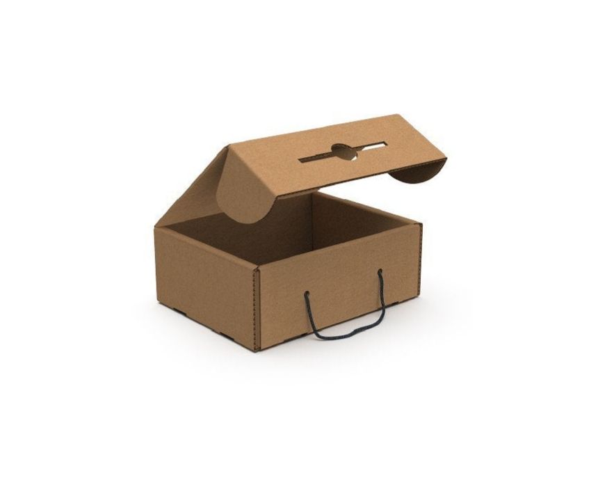 E-Commerce Carry Box Bundle