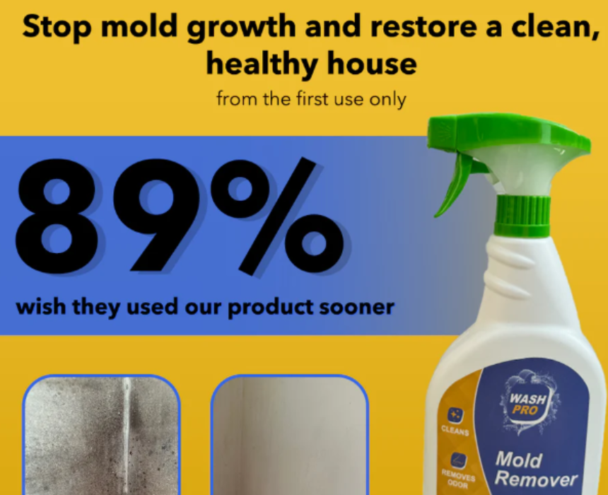 Wash Pro Mold Remover Spray