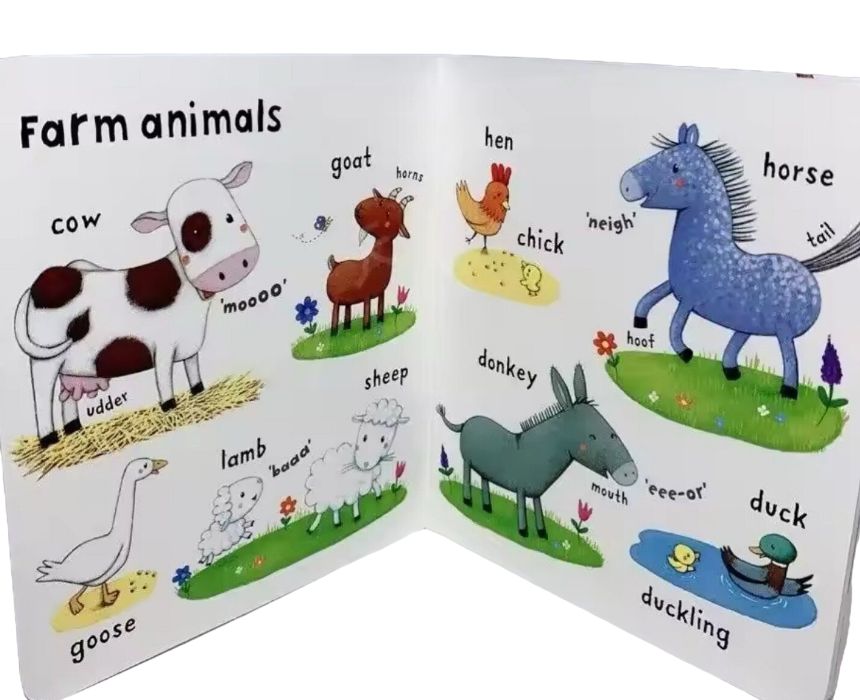 Usborne Very First Words Collection Set