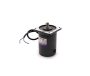 Induction Motor 24V 40W