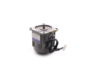 Induction Motor Reversible 220V 25W SP