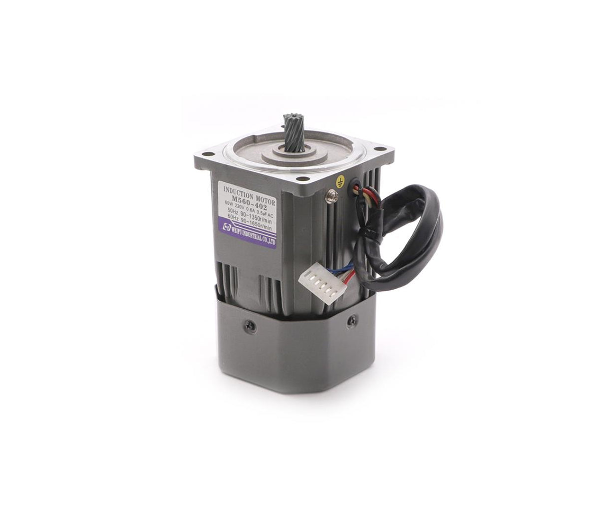 Induction Motor Reversible 220V 60W SP