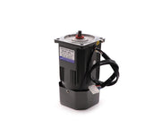 Induction Motor Reversible 220V 90W SP