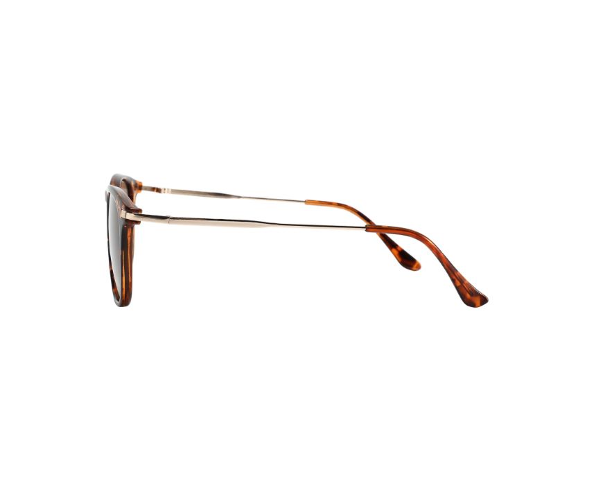 Cocoa Luxe Women Sunglasses