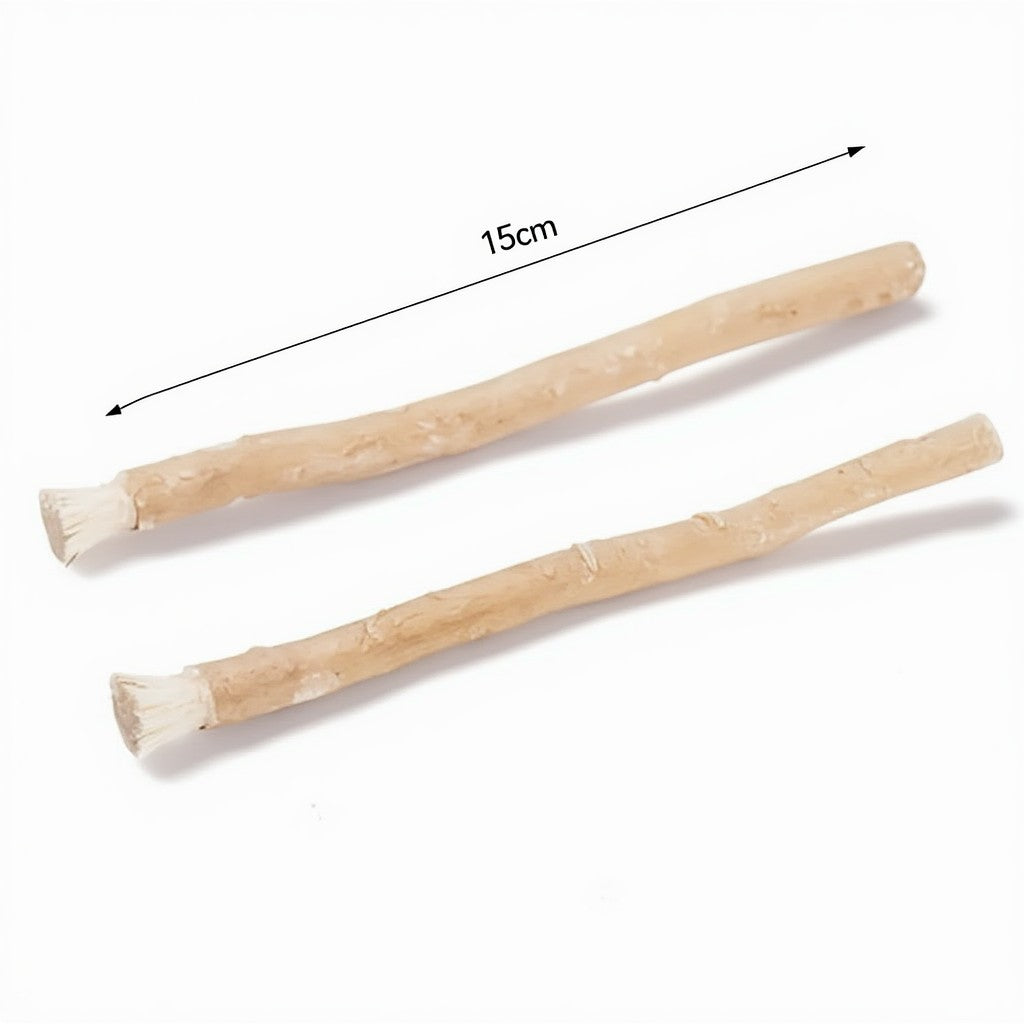 Natural Miswak Toothbrush - Pack of 2