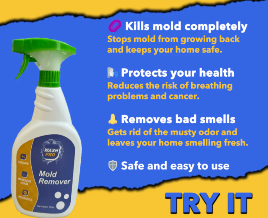 Wash Pro Mold Remover Spray