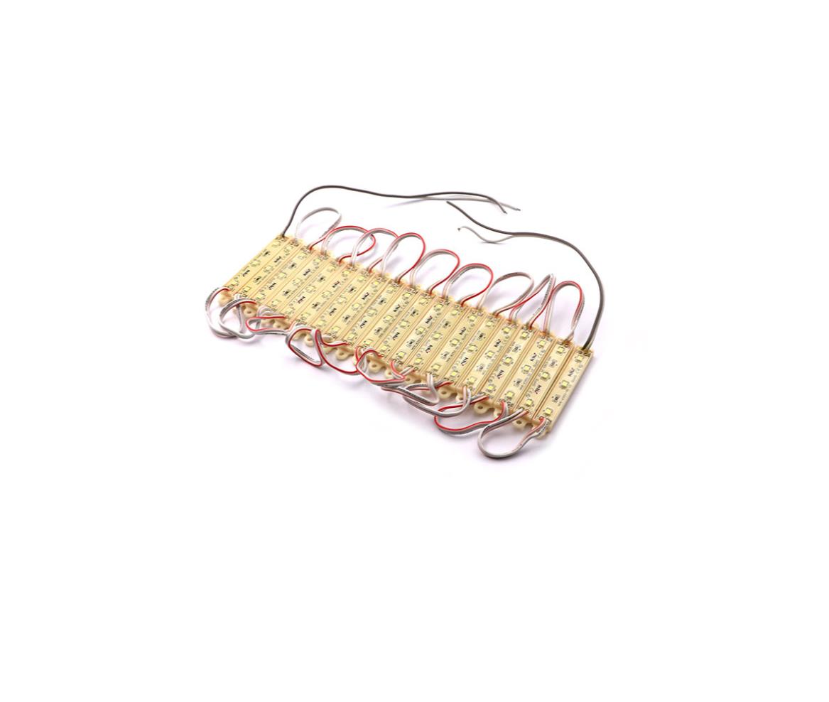 LED Module 12V DC 6W 3x LED 3525 20x Module White