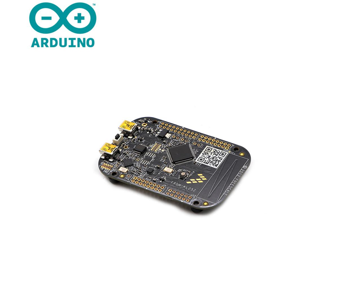 Dev Board Cortex M0 Kinetis