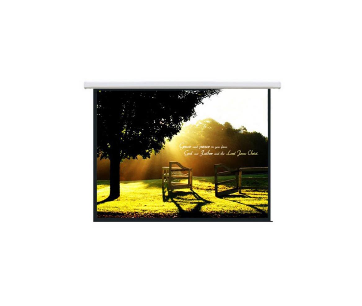Projection Screen Wall Motorized 100 Inch