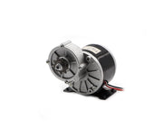 Scooter Motor 24V 250W With Gear