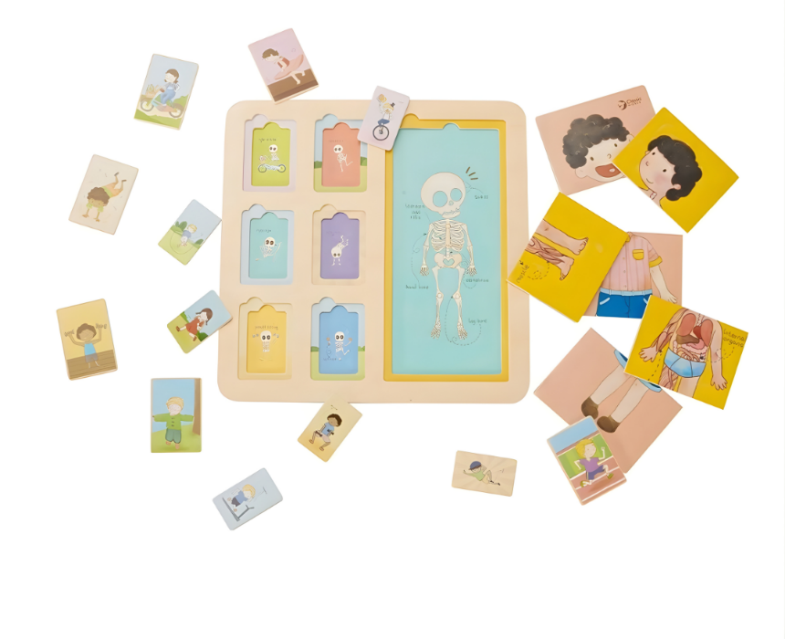Classic World 3 Layer Body Puzzle