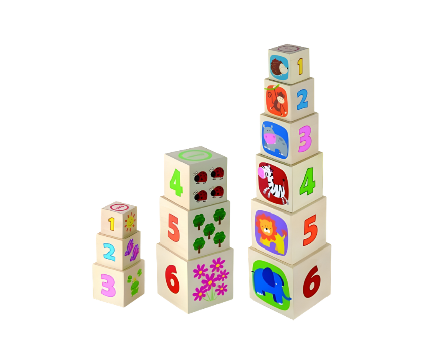 VIGA Block Set