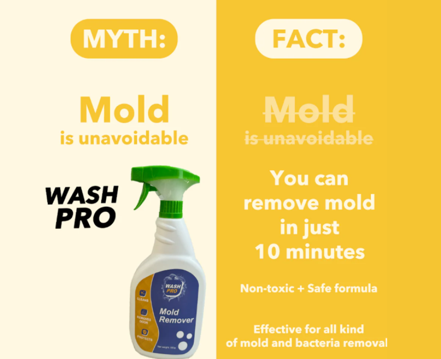 Wash Pro Mold Remover Spray