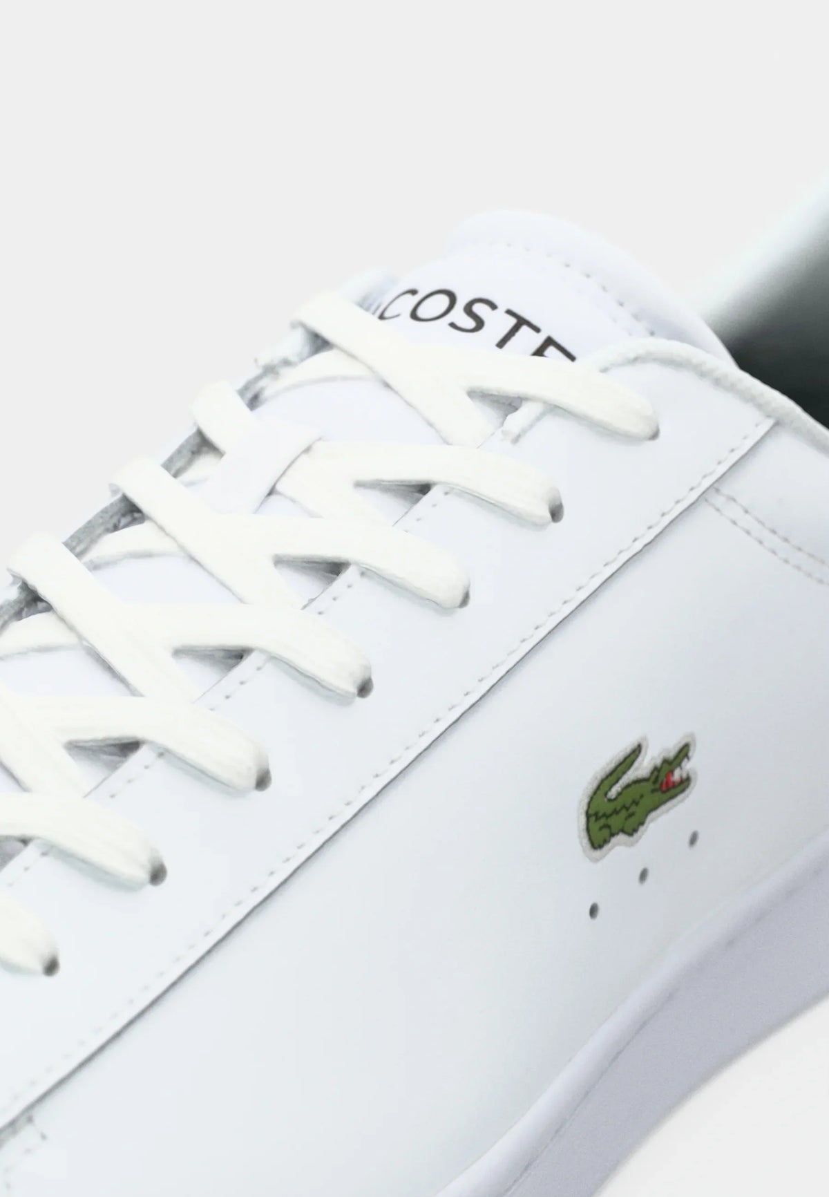 Lacoste - CARNABY SET 125 Baskets basses
