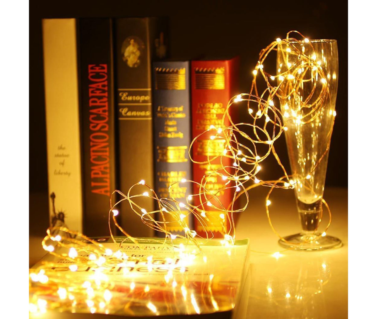 LED Copper Wire - DC Battery - 500x LED - White - 5M - Waterproof