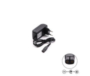 SMPS Power Adapter DC 5.5V 0.6A