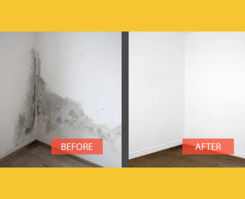 Wash Pro Mold Remover Spray