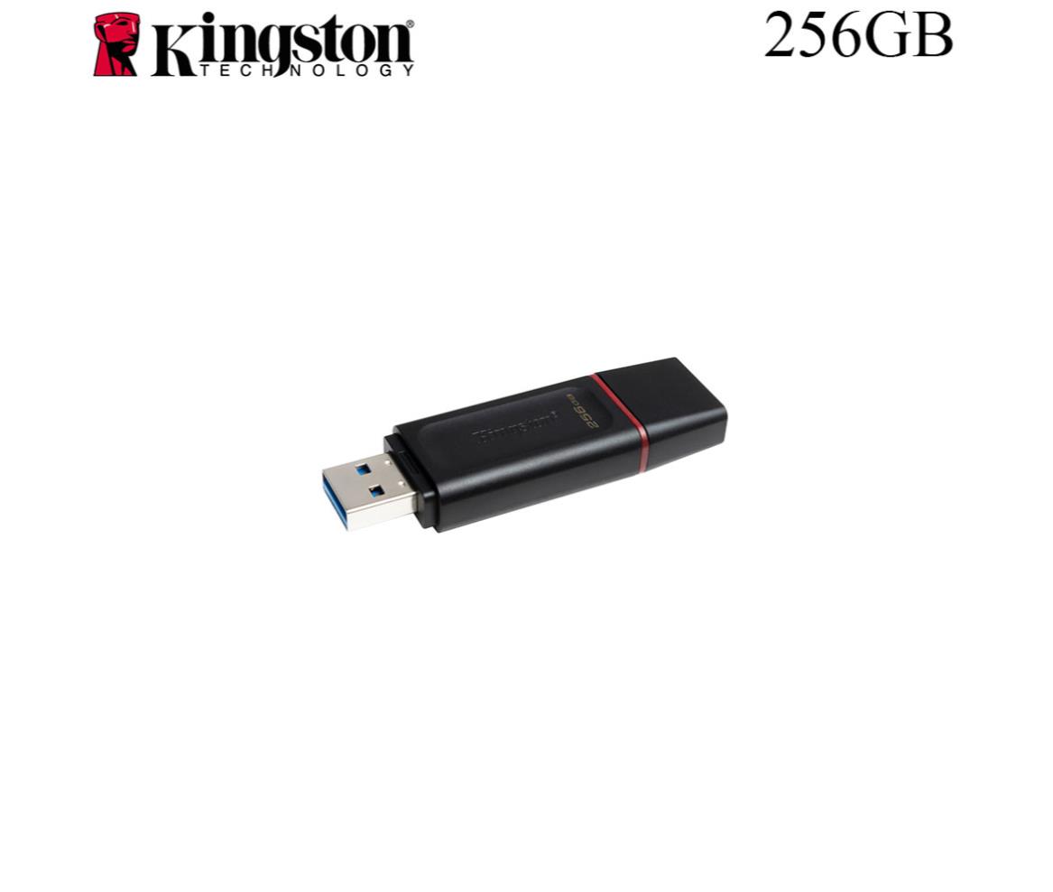 Kingston DTX USB Flash Drive 256GB USB 3.2