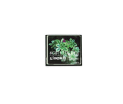Memory Card | CF-4GB | Kingston