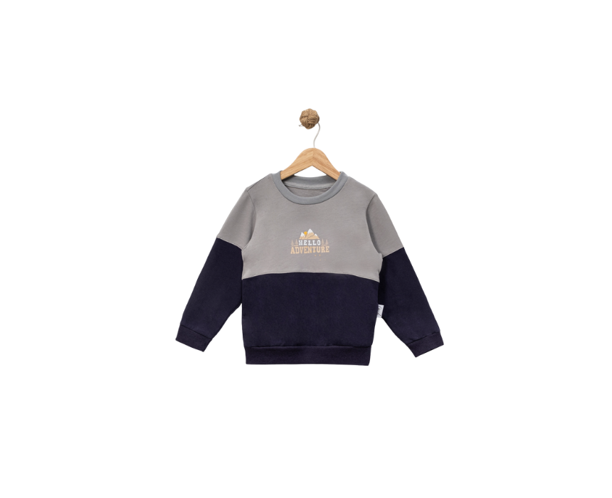 Boys Child Printed Sweatshirt