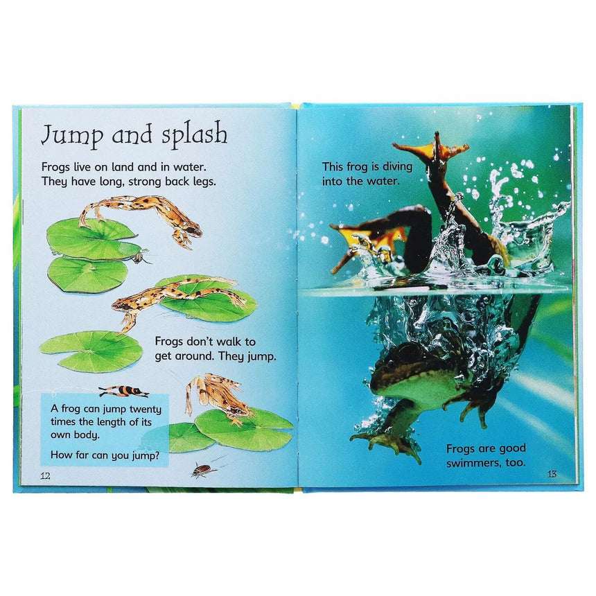 Usborne Beginners Nature Collection 10 Books | Soft Or Hard Cover | 4+