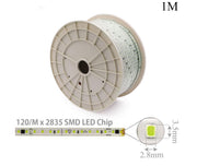 LED Strip Outdoor 10W Ice Blue