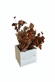Wooden Box Elegant Storage Decor Centerpiece