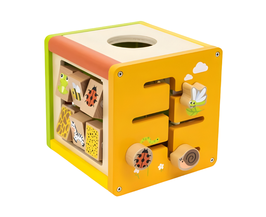 Viga Activity Cube
