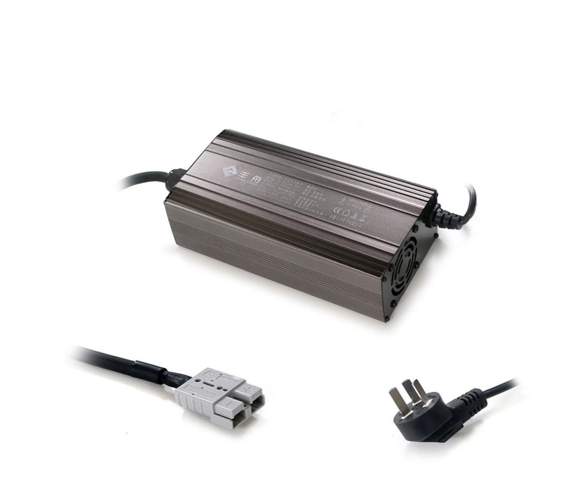 Battery Charger Lithium-Polymer 12.6V 30A Clip