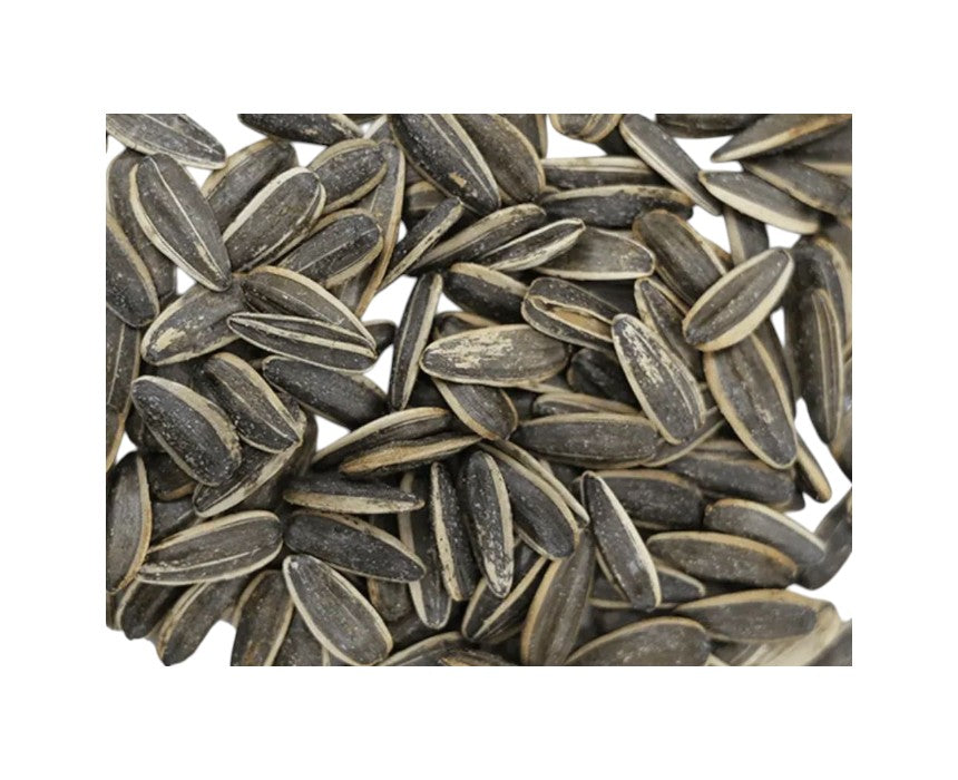 Roasted Sun Flower Seeds