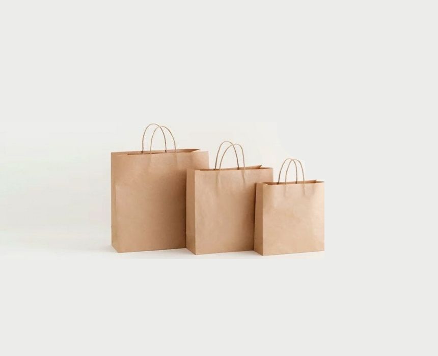 Twisted Handle Kraft Paper Bag Bundle