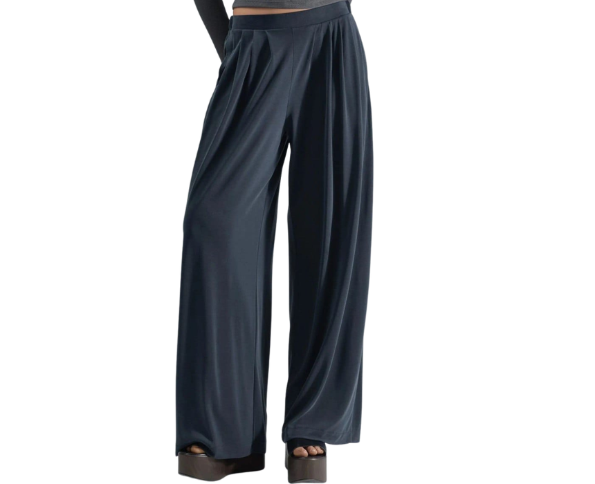 Twirl Navy Pant
