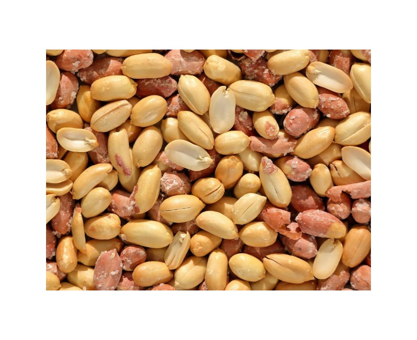 Roasted Peanuts